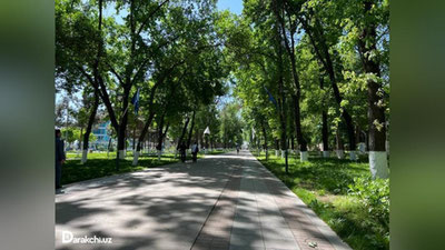 'Бугун ҳаво ҳарорати 36° бўлади'ning rasmi