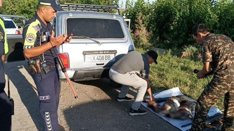 'Navoiyda qizil kitobga kiritilgan ona-bola jayronlar o`ldirildi'ning rasmi