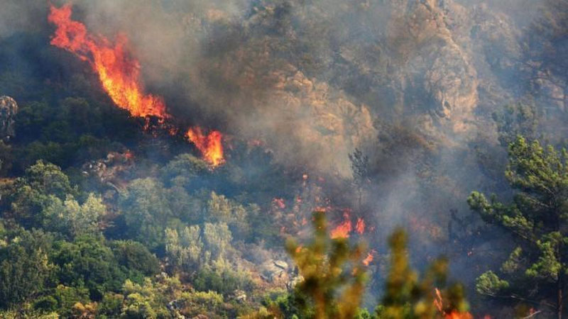 'Turkiyada o`rmon yong`ini sodir bo`ldi'ning rasmi