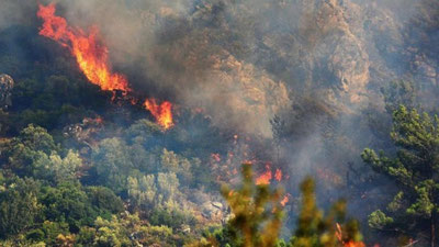 'Turkiyada o`rmon yong`ini sodir bo`ldi'ning rasmi