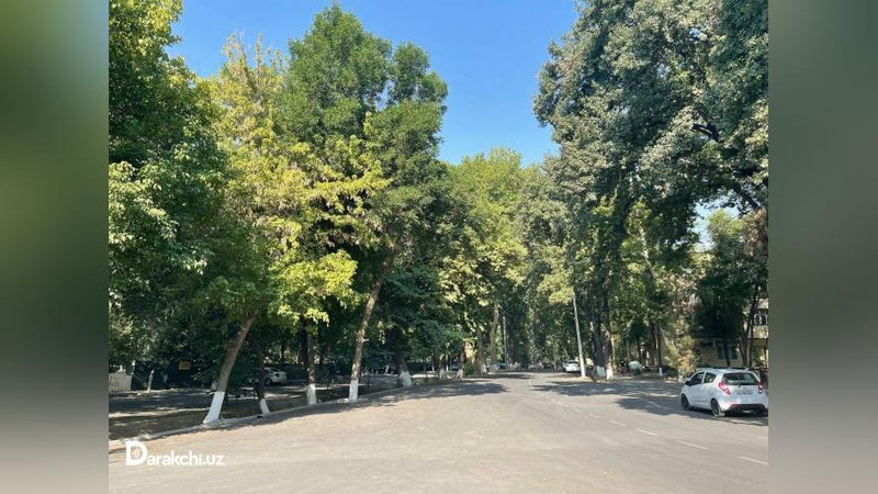 'Yangi hafta qanday ob-havo bilan boshlanishi ma`lum qilindi'ning rasmi