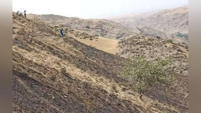 'Zominda joylashgan tog` bag`rida yong`in sodir bo`ldi'ning rasmi