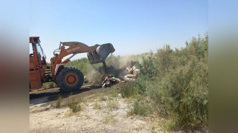 'Buxoroda eshak va mollar so`yilib, qoldiqlari tashlab ketilgani aniqlandi'ning rasmi