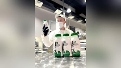 '"Og`iz suti 3-4 kun bo`ladi, bunda bitta sigirdan atiga  10-15 litr sut olish mumkin"'ning rasmi