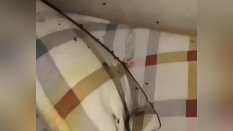 'Qashqadaryodagi bolalar shifoxonasini "tarakan" bosdi'ning rasmi