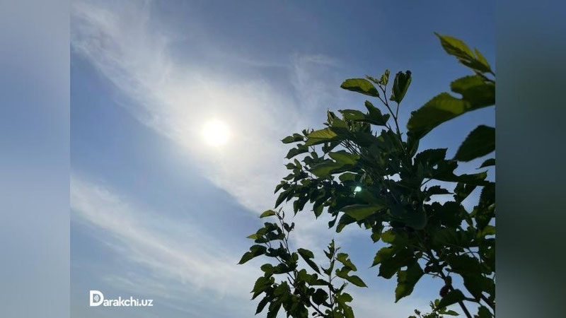 '“O`zgidromet” kelasi hafta boshida kuzatiladigan ob-havo ma`lumotlarini e`lon qildi'ning rasmi