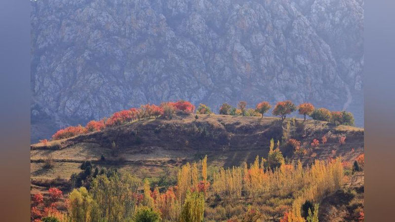 'Ertaga O`zbekiston bo`ylab kuzatiladigan ob-havo haqida ma`lumot berildi'ning rasmi