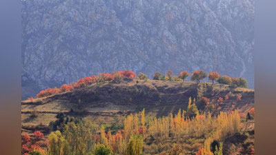 'Ertaga O`zbekiston bo`ylab kuzatiladigan ob-havo haqida ma`lumot berildi'ning rasmi