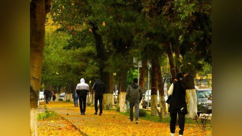 'Yangi hafta qanday ob-havo bilan boshlanishi prognoz qilindi'ning rasmi