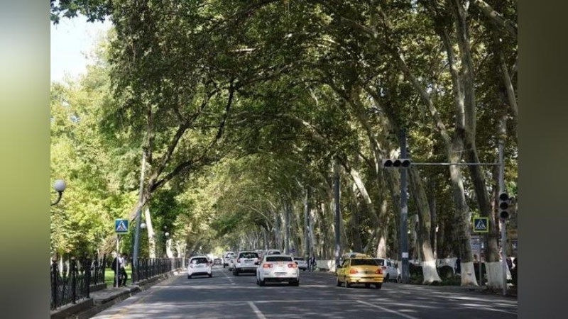 '2 noyabr kuni Samarqandning ba`zi ko`chalarida harakat vaqtincha to`xtatiladi. Bunga sabab...'ning rasmi