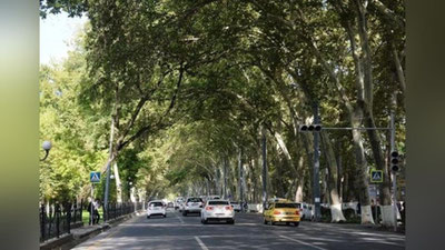 '2 noyabr kuni Samarqandning ba`zi ko`chalarida harakat vaqtincha to`xtatiladi. Bunga sabab...'ning rasmi