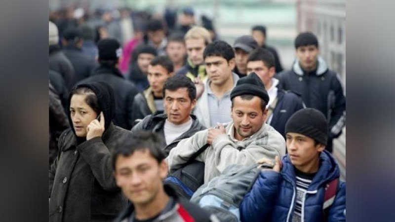 'Rossiyadagi o`zbekistonliklarni ogohlikka chaqiramiz - Tashqi mehnat migrasiyasi agentligi'ning rasmi