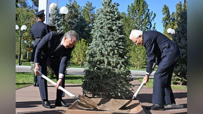 'Shavkat Mirziyoev va Serjo Mattarella “Ko`ksaroy” qarorgohidagi Faxriy mehmonlar xiyobonida archa ekdi'ning rasmi