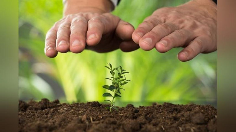 'Prezident o`simliklarni himoya qilishga oid qonunni imzoladi'ning rasmi