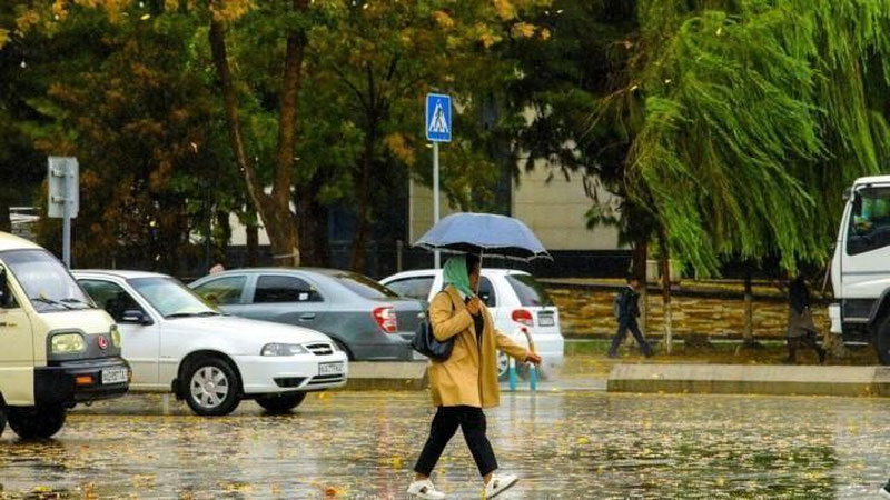 'Ertaga qator hududlarda yomg`irli ob-havo bo`ladi'ning rasmi