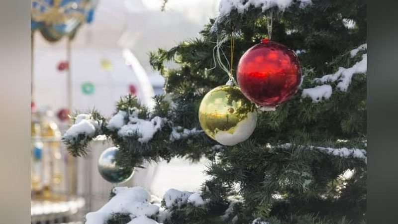 'Toshkent viloyatining markaziy archasi uchun byudjetdan 700 mln so`m pul ajratildi'ning rasmi