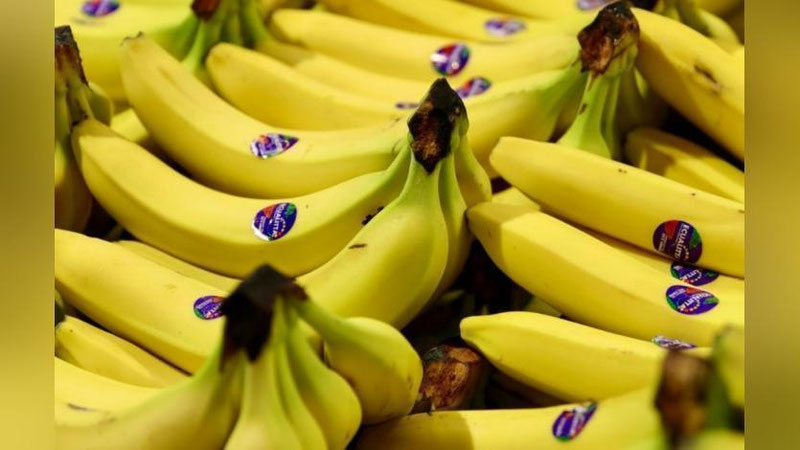 'O`zbekiston banan importini o`tgan yilga nisbatan kamaytirdi'ning rasmi