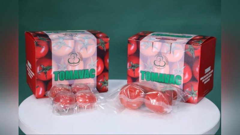 'O`zbek olimlari pomidordan yangi avlod COVID-19 vaksinasi yaratdi'ning rasmi