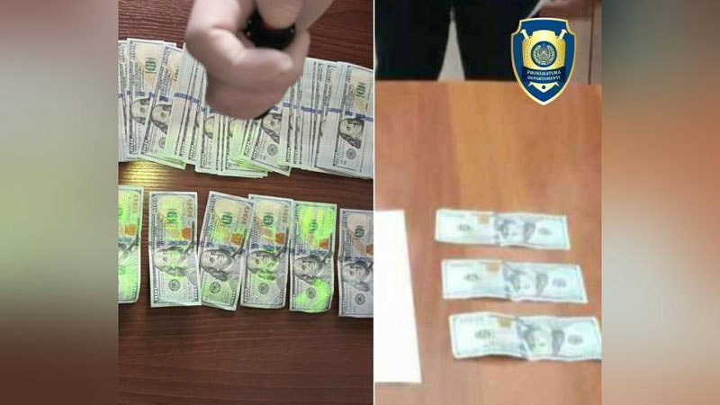 'AQSh yuborishni va`da qilib 9000 dollar olgan fuqaro qo`lga tushdi'ning rasmi