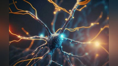 'Insonning qaysi organlari o`zini tiklash xususiyatiga ega?'ning rasmi