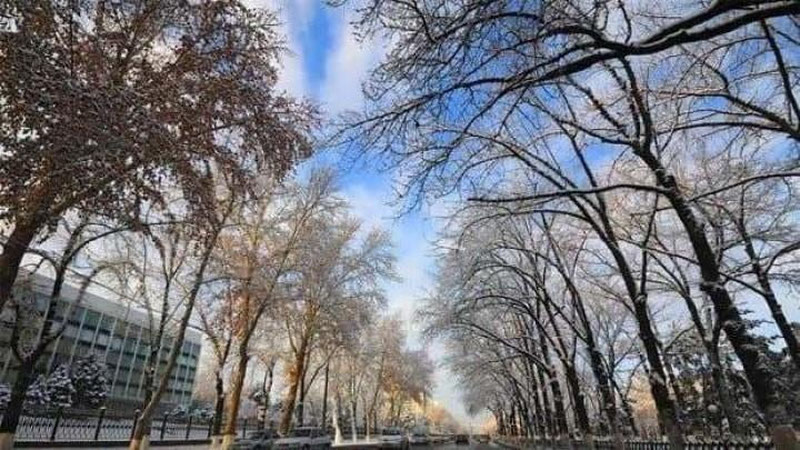 'Dam olish kunlari kuzatiladigan ob-havo ma`lumotlari e`lon qilindi'ning rasmi