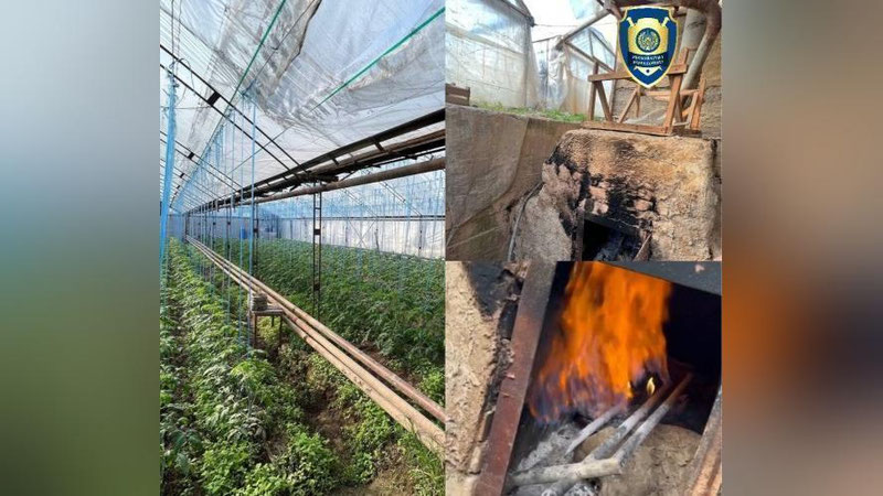 'Toshkentda tabiiy gazdan noqonuniy foydalanib kelgan issiqxonalar aniqlandi 'ning rasmi