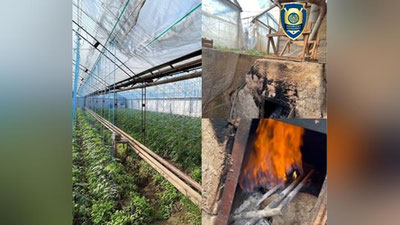 'Toshkentda tabiiy gazdan noqonuniy foydalanib kelgan issiqxonalar aniqlandi 'ning rasmi