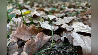 'Bugun O`zbekistonda harorat 20-25° bo`ladi'ning rasmi