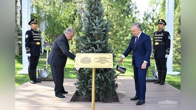 'Shavkat Mirziyoev va BMT Bosh kotibi daraxt ekdilar'ning rasmi