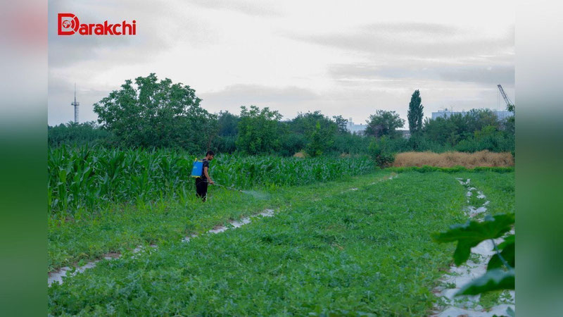 'Бугун куннинг иккинчи қисмида баъзи жойларда ёмғир ёғади'ning rasmi