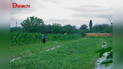 'Бугун куннинг иккинчи қисмида баъзи жойларда ёмғир ёғади'ning rasmi