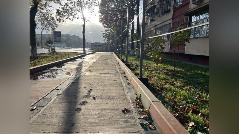 'Bugun O`zbekistonda harorat 5-10 daraja atrofida bo`ladi'ning rasmi