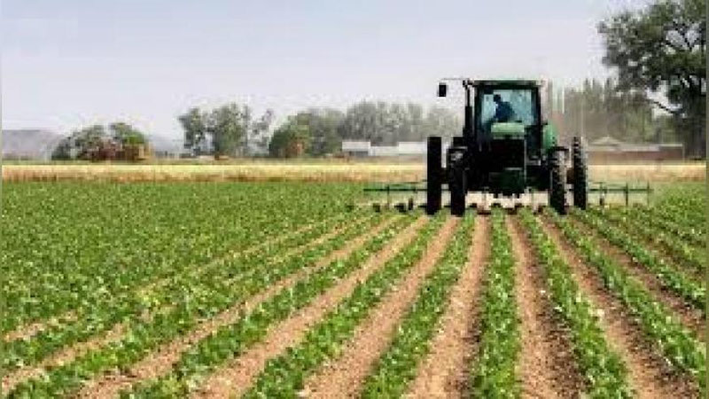 'O`zbekistonda er uchastkalarini to`g`ridan to`g`ri ajratishdagi imtiyozlar bekor qilinadi'ning rasmi