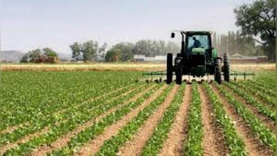 'O`zbekistonda er uchastkalarini to`g`ridan to`g`ri ajratishdagi imtiyozlar bekor qilinadi'ning rasmi