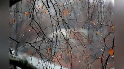 'Bugun O`zbekistonning 4 ta viloyatida yomg`ir yog`ishi kutilmoqda'ning rasmi