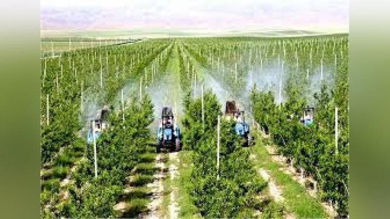 'O`zbekistonda qishloq xo`jaligidagi ilmiy loyihalar uchun 5 mln dollar ajratiladi'ning rasmi