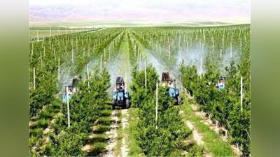 'O`zbekistonda qishloq xo`jaligidagi ilmiy loyihalar uchun 5 mln dollar ajratiladi'ning rasmi