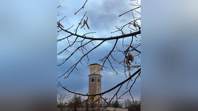 'Бугун Ўзбекистоннинг айрим ҳудудларида ёмғир ва қор ёғади'ning rasmi