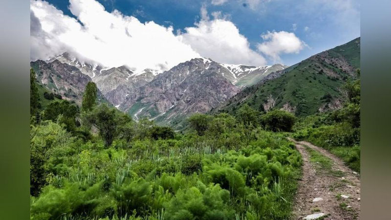 '17 iyun uchun ob-havo prognozi e`lon qilindi'ning rasmi