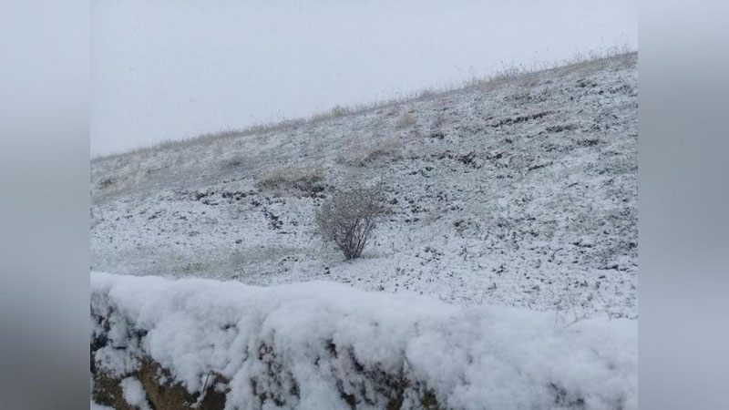 'Bugun O`zbekistonda qor yog`ishi kutilmoqda'ning rasmi