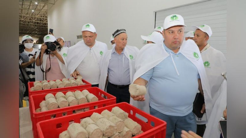 'Farg`onadagi korxonada changdan briketlar tayyorlanmoqda'ning rasmi