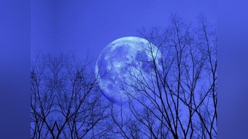 'Bugun odamlar “Moviy oy” hodisasiga guvoh bo`lishlari mumkin'ning rasmi