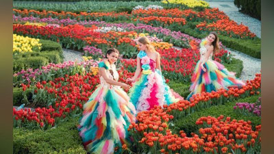 '6-8 май кунлари Tashkent Flower fest-2022 бўлиб ўтади'ning rasmi