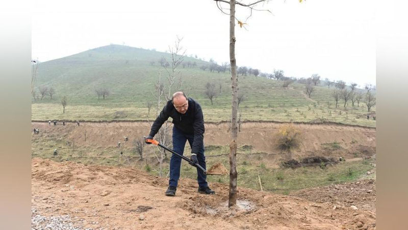 'Bosh vazir Abdulla Aripov Bo`stonliqda daraxt ekdi'ning rasmi