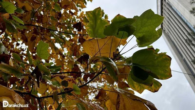 'Ўзбекистонда дам олиш кунлари қандай об-ҳаво кутилаётгани айтилди'ning rasmi