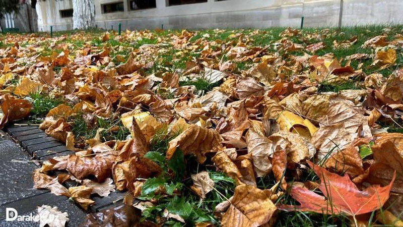 'Bugun O`zbekistonning ayrim joylarida yomg`ir va qor yog`ishi muikin'ning rasmi