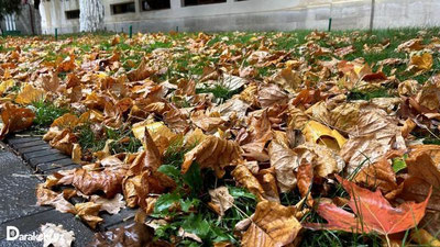 'Bugun O`zbekistonning ayrim joylarida yomg`ir va qor yog`ishi muikin'ning rasmi