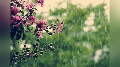 'Bugun kunning birinchi yarmida ayrim hududlarda yomg`ir yog`adi'ning rasmi