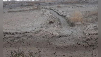'Xorazmda fermer erning unumdor tuprog`ini qazib, davlatga 1,2 mlrd so`m zarar etkazdi'ning rasmi