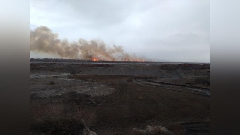 'Samarqanddagi milliy tabiat bog`ida sodir bo`lgan yong`in bo`yicha jinoyat ishi qo`zg`atildi'ning rasmi